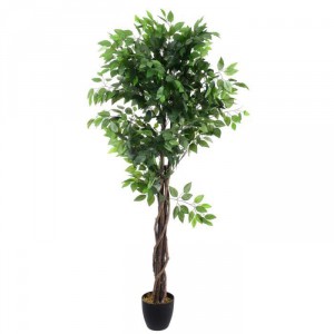 Ficus artificiel, Besoin d'info sur Oecophylla [Urgent]