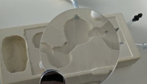 Ouvrières en garde, [Blog] Regyne, la reine Lasius niger