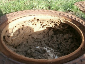 Le tout, Fourmilière dans le regard du compteur d'eau