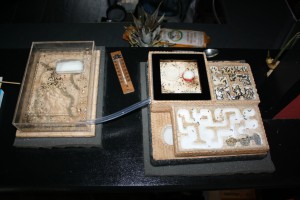 ma petite installation, Mes Messor barbarus