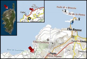 Localisation prélèvement C. scutellaris, [Blog] Crematogaster scutellaris