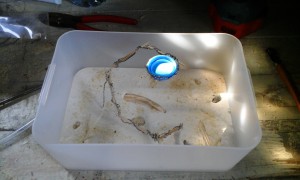 Nouvelle ADF pour les Messor barbarus, Aménagement d'espaces pour Messor barbarus et Lasius sp