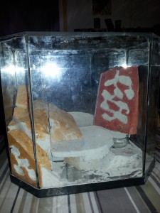 Biorama, [Tutoriel] Nid BC type biorama aquarium