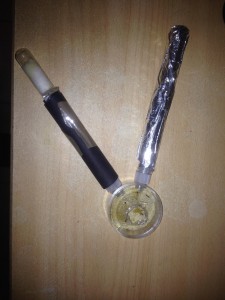 Module de fondation Myrmecosystus mimicus, **FIN** [Blog] Myrmecocystus mimicus