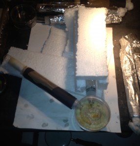 Isolation module fondation, **FIN** [Blog] Myrmecocystus mimicus