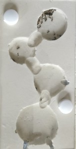 Toute la colonie a rejoint le nouveau nid, [Blog] Regyne, la reine Lasius niger