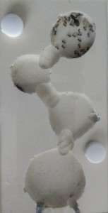 Mi-septembre, [Blog] Regyne, la reine Lasius niger