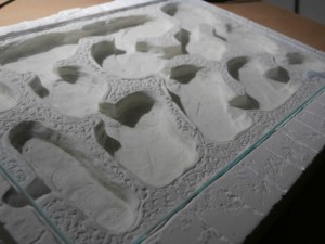 De profil, Questions - Nid en plâtre pour Lasius