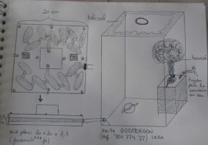 &quot;Schémas&quot;, Projet ADC avec de vraies plantes