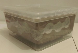 Fourmilière, Fourmiliere plâtre plus ciment