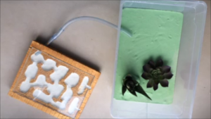 Désolé pour la qualité, c'est une instantanée..., Projet ADC avec de vraies plantes