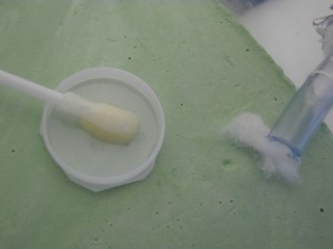 Nourriture + entrée au nid aménagée ^^, [Blog] Le début d'une grande histoire - Lasius cf niger