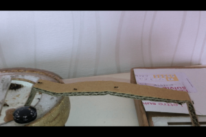 Work in progress, **Fin**[Blog] Les Lasius emarginatus de Deucalion