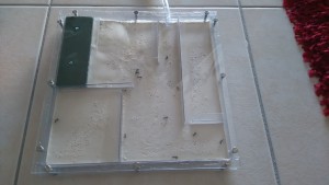 Nid plexi, [Tuto] Nid plexi pour les nuls en bricolage