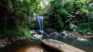Zone de prélèvement [Australie], [Tutoriel] Aire de vie végétalisée : « Libertarium » [1/2/3/4]