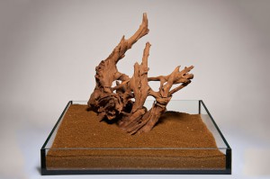 10 racines de mangrove, [Tutoriel] Aire de vie végétalisée : « Libertarium » [1/2/3/4]