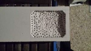 Construction 1, Ma fourmilière en béton cellulaire