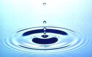 Pour la construction de fourmilières artificielles..., goutte-eau.jpg