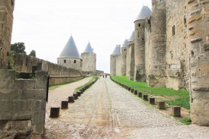 Entre les 2 enceintes de Carcassonne, Les fourmis des Pyrénées-Orientales (66)