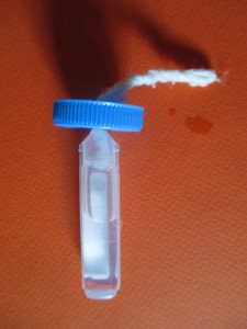 Montage du réservoir, Abreuvoir longue durée  pour fourmis