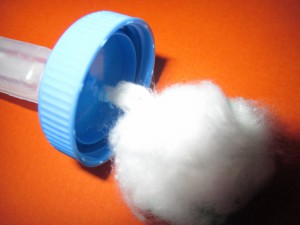 Montage avec coton dans la capsule, Abreuvoir longue durée  pour fourmis