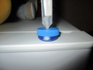 Prêt à glouglouter !, Abreuvoir longue durée  pour fourmis