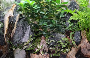 « Libertarium » [2], [Tutoriel] Aire de vie végétalisée : « Libertarium » [1/2/3/4]