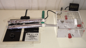 Installation, **Fin**[Blog] Les Tetraponera rufonigra de Deucalion