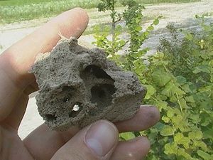 Certainement une des chambres de sexués, Essaimage Lasius et piste cyclable