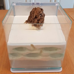 Insertion, Nid en poudre de céramique