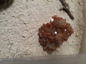 l'aragonite angle 1, ADC "ruines et minéraux"