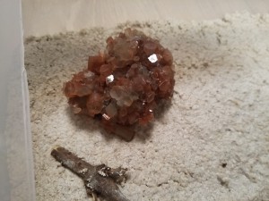 l'aragonite angle 2, ADC "ruines et minéraux"