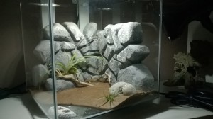 Vue d'ensemble plus rapprochée, Nouveau nid bc en aquarium style mur en pierre