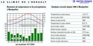 Climat et courbes de températures dans le Sud, [Blog] Les Camponotus pilicornis eaubonnaises