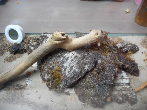 Terrarium, Les terrariums d'Eloa