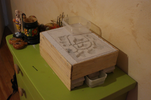 Nid BC lasius seb, Mon premier nid en BC