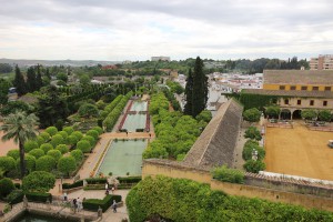 Le jardin botanique de l'alcázar des rois chrétiens, Les fourmis d'Andalousie (Espagne)