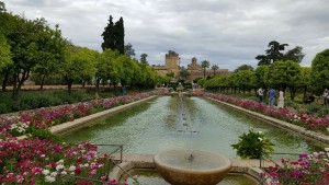 Les jardins, lieux des rencontres myrmécophiles, Les fourmis d'Andalousie (Espagne)