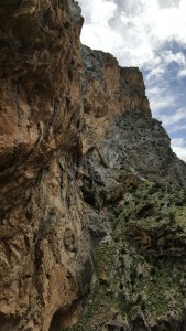 La falaise, Les fourmis d'Andalousie (Espagne)