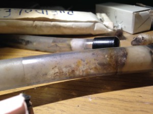 Tiens, voilà du couvain ! Il est temps de déménager non ?, [Blog] Pheidole pallidula : une histoire de mandibules