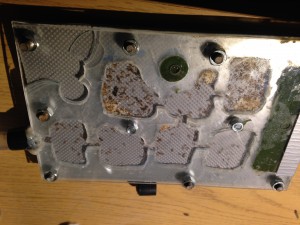 Un nid pas bo, des fourmis magnifiques !, [Blog] Pheidole pallidula : une histoire de mandibules