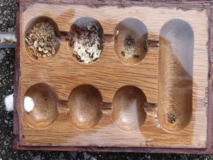 Crematogaster scutellaris dans un nid en bois verni, Nid en bois dans un Mancala pour Crematogaster scutellaris