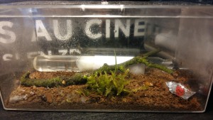 Aire de chasse, La taverne des fourmis