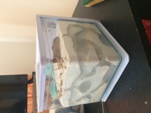 Mon nid, Mon premier nid !