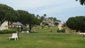 La résidence, Fourmis rencontrées en Algarve (extrême sud du Portugal)