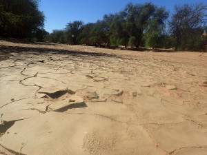 La Kuiseb, à sec bien entendu, Dans le sable du Namib