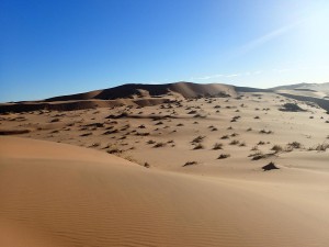 Dunes, Dans le sable du Namib