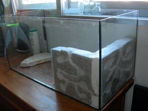 vue globale du nid, Nid en BC avec aire de chasse en terre