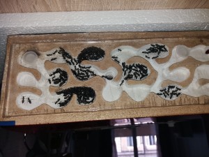 Face droite nid des Camponotus vagus, **Fin** [Blog] Camponotus vagus d'Harpeg