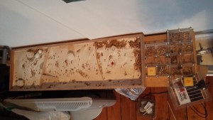 vue de l'air de chasse, Premier nid plexiglas simple